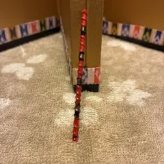 Item thumbnail for item 89e83370-0249-447a-8d80-53f16c2cea5c