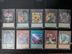 エクシーズサポートセット