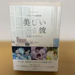 TVドラマ&劇場版「美しい彼」公式シナリオブック