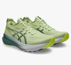 ASICS Gel Kayano 25,5cm ランニングシューズ