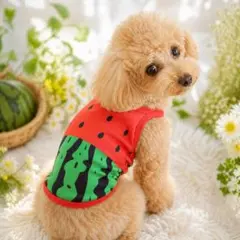 スイカ柄(皮付き)☆犬用タンクトップ☆Mサイズ☆おしゃれでかわいい♪のサムネイル