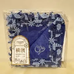 Item thumbnail for item fd1d65df-1fe4-4910-808f-f39972b4aed5