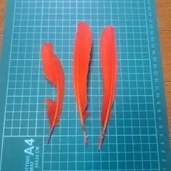 Item thumbnail for item b4854b18-e77b-477b-911d-a7f1f150f999