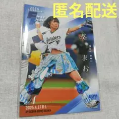 BBM 2025 2ndVersion(葵 まお グットクルー)