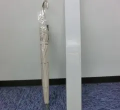 Item thumbnail for item 496e55e8-888f-4aa0-af49-be4a36c3c239