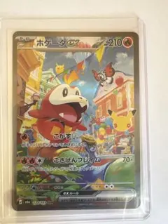 ポケモンカード ホゲータex 124/103 SAR