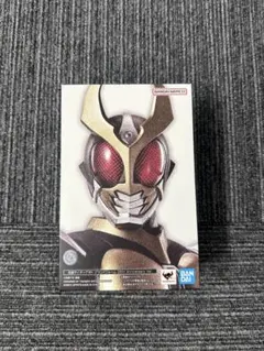 本体良個体！】フィギュアーツ真骨彫製法 仮面ライダーアギト25th版