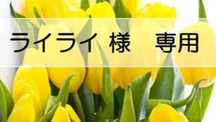 ライライ様専用ページです