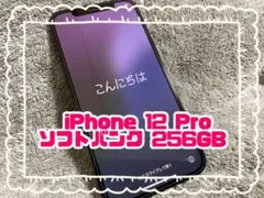 iPhone 12 pro 256GB パシフィックブルー