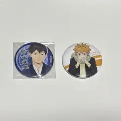 即購入〇　ハイキュー!!　影山飛雄　日向翔陽　はふはふPOPUP
