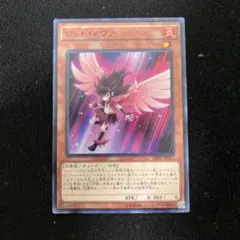 レッドノヴァ　管理番号f