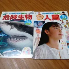 ハッピーセット×小学館の図鑑NEO　2冊セット