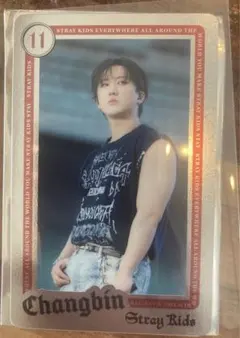 Stray Kidsスキズ エコパ ランダムライブフォトカード チャンビン