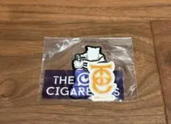 THE ORAL CIGARETTES ステッカーセット 2025 シール