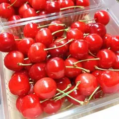 まもなく終了！特価！さくらんぼ『紅てまり』大玉2L 350g×2パック 山形直送のサムネイル