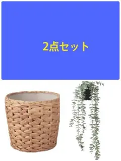 IKEA フェイクグリーン 2点セットのサムネイル
