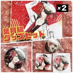ツキウタ。葉月陽 グッズセット 缶バッジ アクリルボード Procellarum