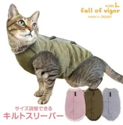 Item thumbnail for item cd911508-81b7-4033-92d3-3be56b0f69fb