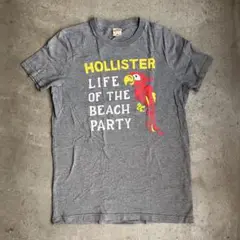 HOLLISTER ホリスターTシャツ M グレー