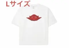 ナイキジョーダン x セントマイケル M J SM ショートスリーブ Tシャツ