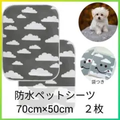 Item thumbnail for item ced8759f-6fa3-49f0-ad46-7c46e91fb800