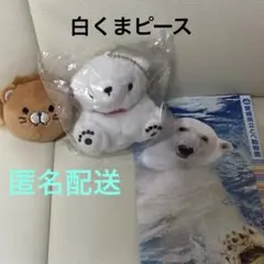 2026年最新】とべ動物園 ピースの人気アイテム - メルカリ