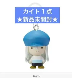 ハンターハンター　めじるしアクセサリー　ガチャ　キメラアント編　カイト②