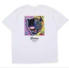 Item thumbnail for item e4cf1b71-18c0-401b-bbf4-e89e227d63b9