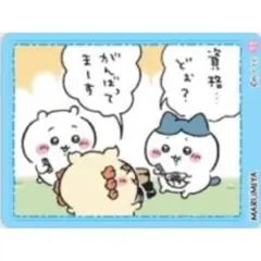 未使用品【ちいかわ＆ハチワレ＆シーサー】丸美屋★カレー★キラキラシール【11】