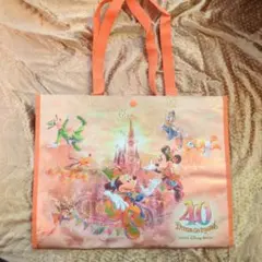 ディズニー 40周年 ショッピングバッグ