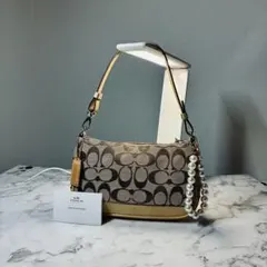 Coach Accessory Porch Signature 6094