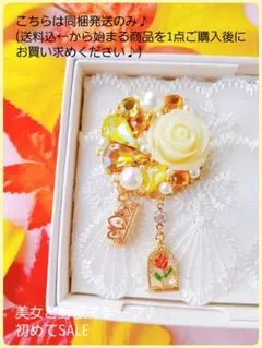 同梱発送のみ【B級品】秋♪先取り♡ヴェルヌーヴ モチーフ♪