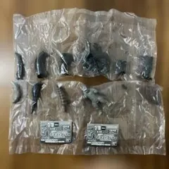 モスラ対ゴジラ　HGシリーズゴジラから 2種セット ガシャポンHG 新品、未開封