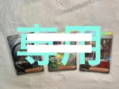 パラソルおねえさん