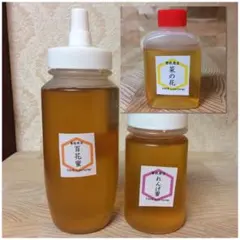 【非加熱はちみつ】百花蜜250g&れんげ150g&菜の花50g(3本
