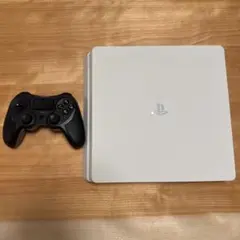 【即日発送】プレイステーション4 CUH-2200A 500GB ゲームソフト付