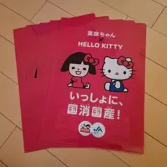 ハローキティ×笑味ちゃん　クリアファイル5枚　　JAグループ　国消国産