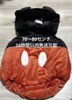 Item thumbnail for item f0dfa622-61bc-417a-87fa-0cc37e46b9ce