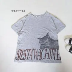 わちふぃーるど ダヤン ビッグプリント ビッグロゴ 半袖カットソー Tシャツ 猫のサムネイル