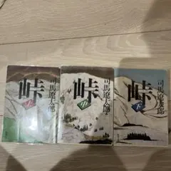 Item thumbnail for item 48bc8237-def9-4023-aa3f-ea8b6ad02858