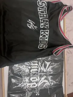 【マユミ様専用】スキズ エコパ アプグレグッズ dominATE アップグレード