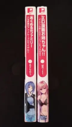 ぷちぱら文庫/2冊セット/オトナ文庫/二次元ドリームノベルズ/202610A