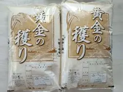 長期保存可能 真空パック 米とぎ不用な無洗米・令和7年産 新潟新之助 5