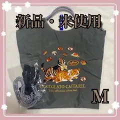 Item thumbnail for item 1098bee9-e8bd-4be8-91e4-7677e95243e9