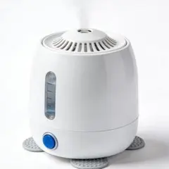 Item thumbnail for item 0b14bc2c-d204-4421-9058-1753bfa2173a