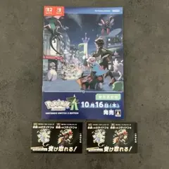 ポケモン 色違い ミライドン コライドン 2枚セット