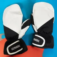 Item thumbnail for item 00338a41-07e1-4ccf-a6ef-9b65d5f96668