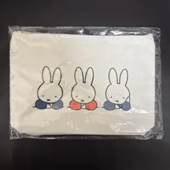 Item thumbnail for item ff1d2e65-20d3-46e1-861e-97ea728e4aa8