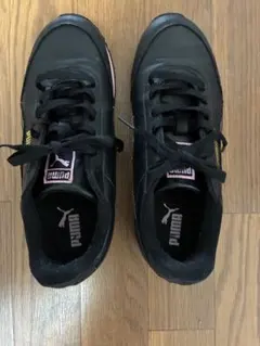 Item thumbnail for item 6fd97ef8-ed15-41d8-ba30-b60c7a075d94