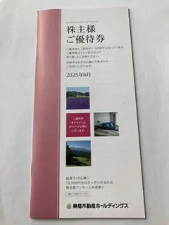 東急不動産ホールディングス　株主優待券　500株以上1000株未満